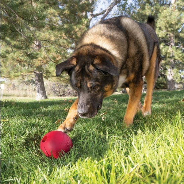 KONG Ball Large 3 KONG Ball Large - Image 3