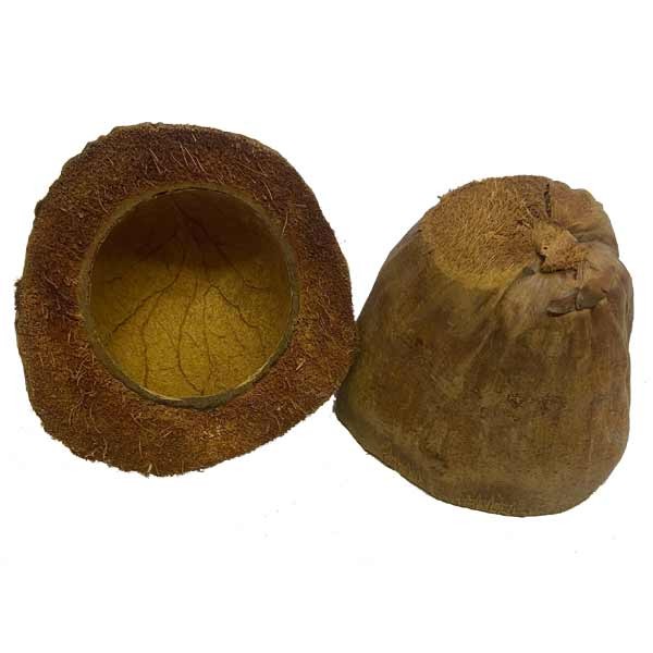 OA Botanical Coconut Cup 11-14cm