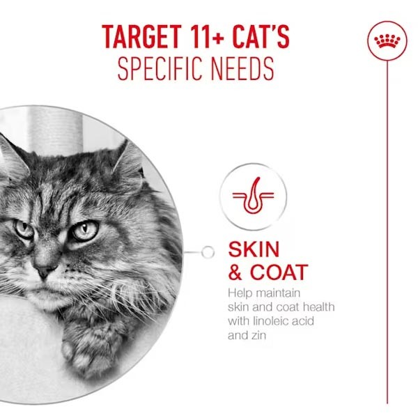 Royal Canin Ageing 11+ Dry Cat Food 400g 3 Royal Canin Ageing 11+ Dry Cat Food 400g - Image 3