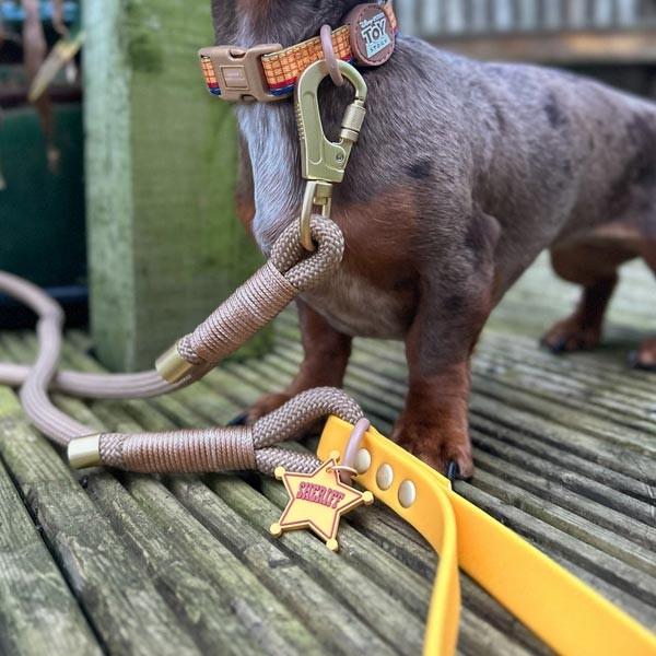 Disney© Woody 4FT Rope Lead 3 Disney© Woody 4FT Rope Lead - Image 3