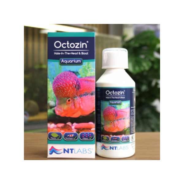Nt Labs Octozin 250ml 3 Nt Labs Octozin 250ml - Image 3