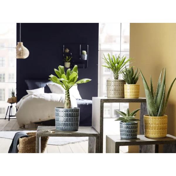 Scheurich Lagom Alma Flower Pot 12cm 2 Scheurich Lagom Alma Flower Pot 12cm - Image 2