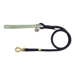Disney© Winnie The Pooh Sage and Blue 4FT Rope Lead