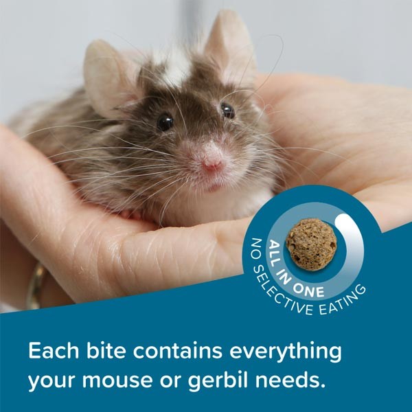 Beaphar Care+ Gerbil & Mouse 500g 4 Beaphar Care+ Gerbil & Mouse 500g - Image 4