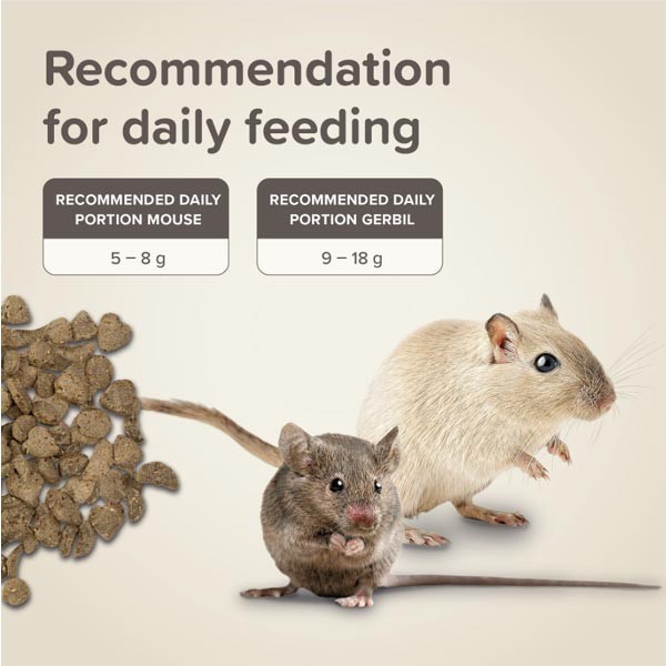 Beaphar Care+ Gerbil & Mouse 500g 5 Beaphar Care+ Gerbil & Mouse 500g - Image 5
