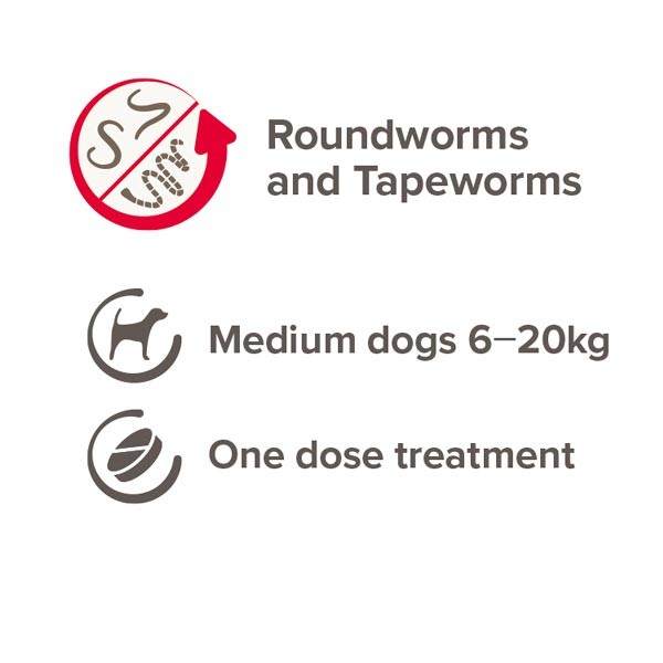 Beaphar One Dose Worming Tablets for Dogs (6-20kg) 2 Beaphar One Dose Worming Tablets for Dogs (6-20kg) - Image 2