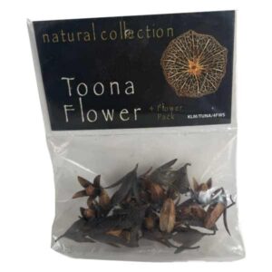 Natural Collection Toona Flowers