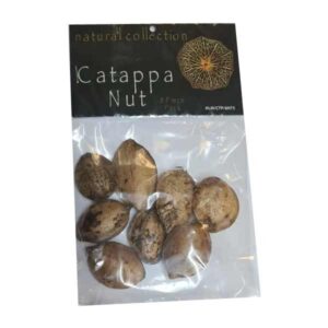 Natural Collection Catappa Nuts