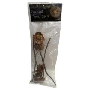 Natural Collection Coconut Flower Stems