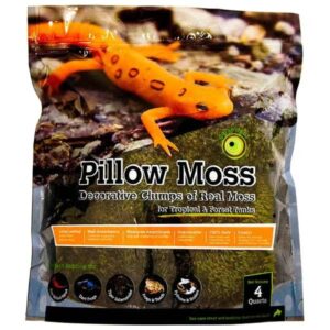 Galapagos Pillow Moss 4qt