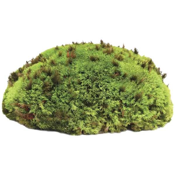 Galapagos Royal Pillow Moss Mini Bag 2 Galapagos Royal Pillow Moss Mini Bag - Image 2