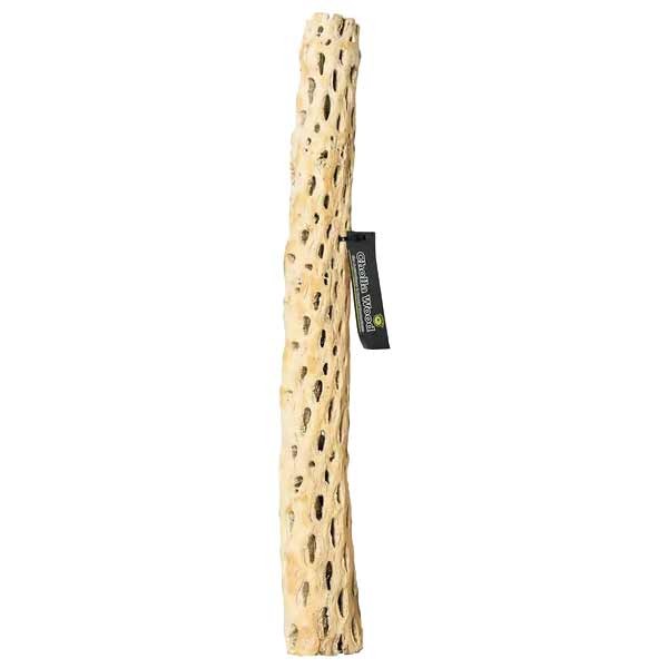 Galapagos Cholla Wood 24" 1 Galapagos Cholla Wood 24"