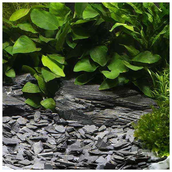 Dennerle Natural Gravel Kongo 10-30mm 500g 2 Dennerle Natural Gravel Kongo 10-30mm 500g - Image 2