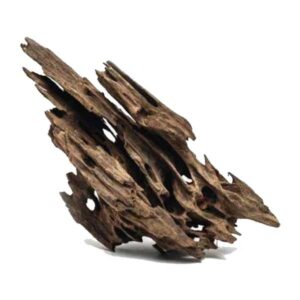 Dragon Wood M 30-50cm