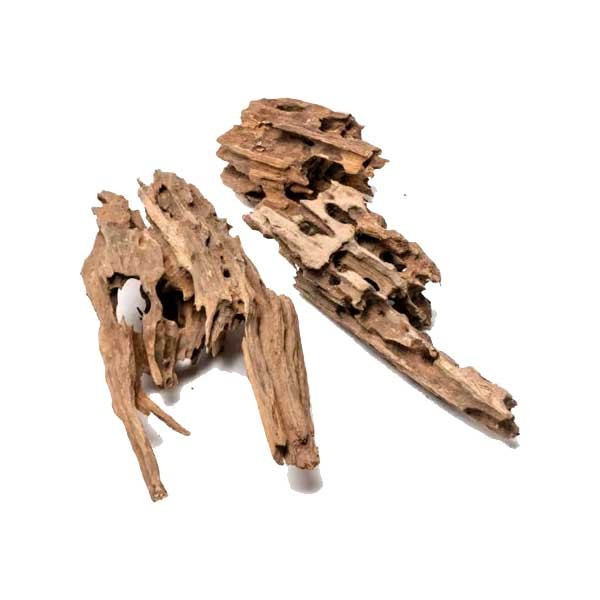 Dragon Wood L 40-60cm 2 Dragon Wood L 40-60cm - Image 2