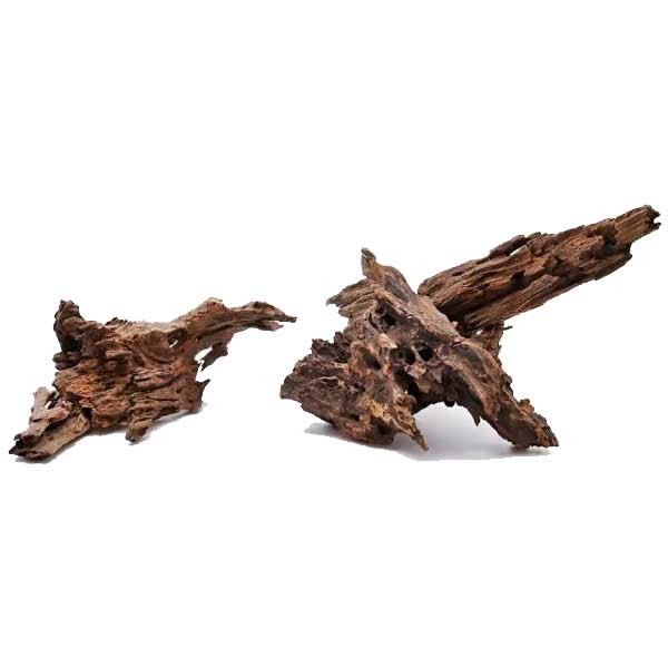 Dragon Wood L 40-60cm 3 Dragon Wood L 40-60cm - Image 3