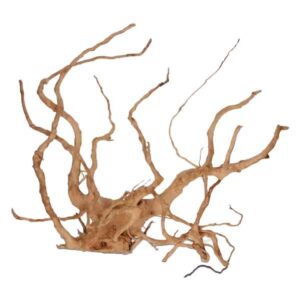Rare Red Vine M 20-45cm