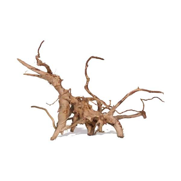 Rare Red Vine M 20-45cm 3 Rare Red Vine M 20-45cm - Image 3