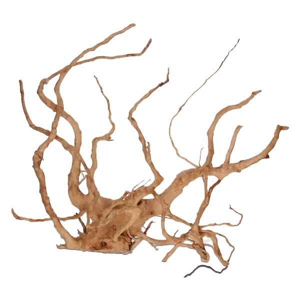 Rare Red Vine L 30-50cm 1 Rare Red Vine L 30-50cm