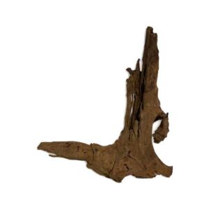 Malaysian Wood S 12-20cm