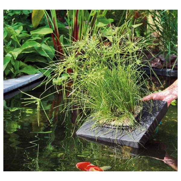 Velda Floating Plant Island Square 25cm 4 Velda Floating Plant Island Square 25cm - Image 4