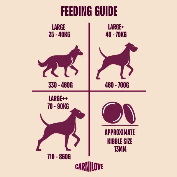 Carnilove Active Large Breed Salmon & Turkey Adult 12kg Dry Dog Food 3 Carnilove Active Large Breed Salmon & Turkey Adult 12kg Dry Dog Food - Image 3
