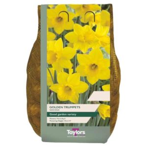 Taylors Bulbs Golden Trumpets 2Kg