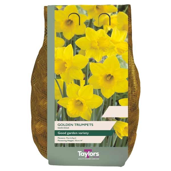 Taylors Bulbs Golden Trumpets 2Kg 1 Taylors Bulbs Golden Trumpets 2Kg