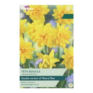 Taylors Bulbs Narcissus Tete Boucle 10pk