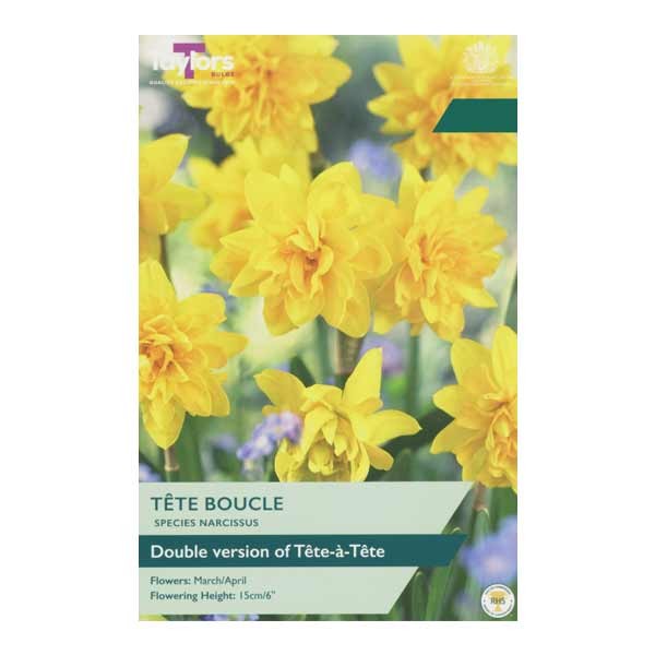 Taylors Bulbs Narcissus Tete Boucle 10pk 1 Taylors Bulbs Narcissus Tete Boucle 10pk