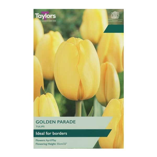 Taylors Bulbs Tulip Golden Parade 7pk 1 Taylors Bulbs Tulip Golden Parade 7pk