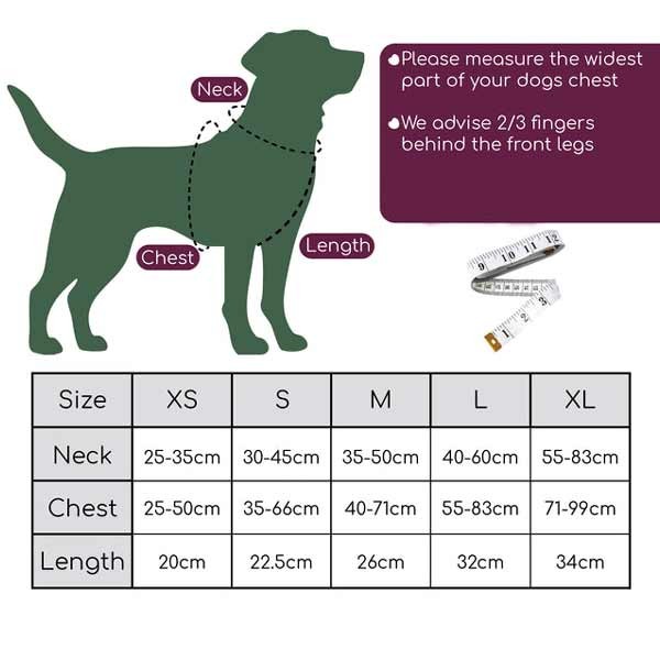 Disney© Tough Trails 101 Dalmatians X-Small Harness 2 Disney© Tough Trails 101 Dalmatians X-Small Harness - Image 2