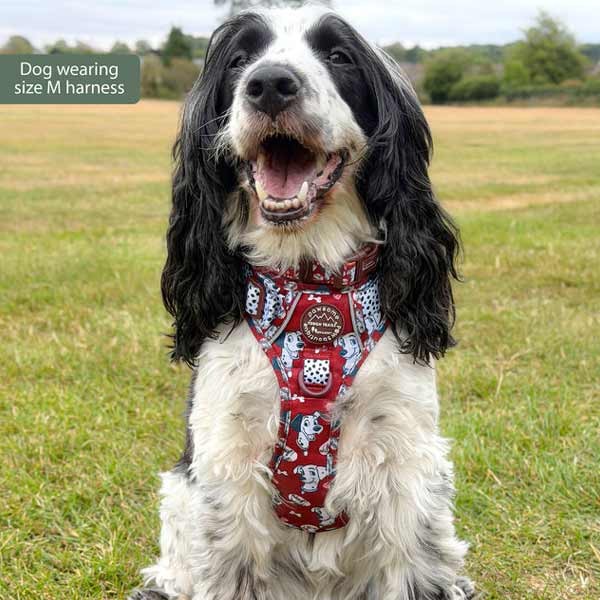 Disney© Tough Trails 101 Dalmatians X-Small Harness 3 Disney© Tough Trails 101 Dalmatians X-Small Harness - Image 3
