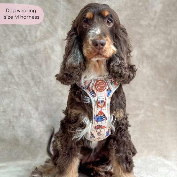 Paddington Tough Trails Peckish Medium Harness 3 Paddington Tough Trails Peckish Medium Harness - Image 3