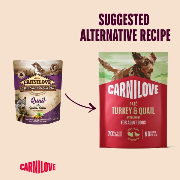 Carnilove Turkey & Quail with Carrot 300g Pouch Wet Dog Food 2 Carnilove Turkey & Quail with Carrot 300g Pouch Wet Dog Food - Image 2