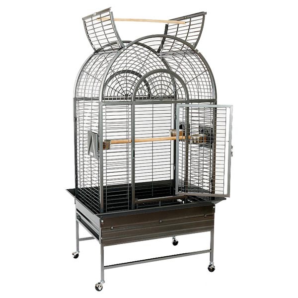 Rainforest Cages Santa Marta Cage Antique 1513 1 Rainforest Cages Santa Marta Cage Antique 1513