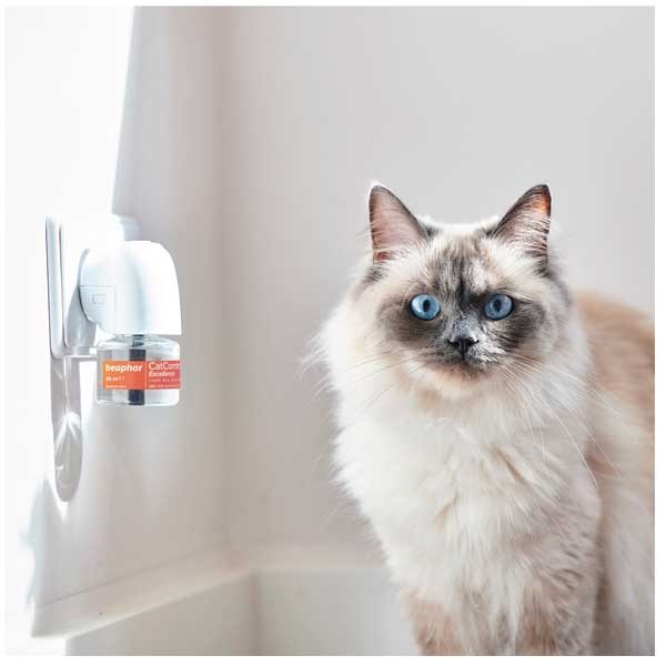 Beaphar Cat Calm Excellence Diffuser 48ml 4 Beaphar Cat Calm Excellence Diffuser 48ml - Image 4