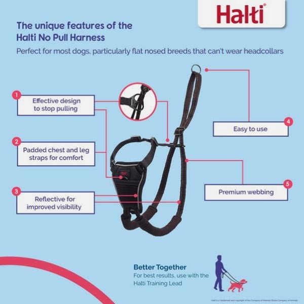 Company of Animals Halti No Pull Harness Medium 3 Company of Animals Halti No Pull Harness Medium - Image 3