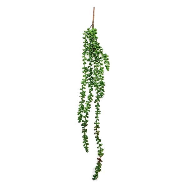Betta Terra Green Vine 70cm 1 Betta Terra Green Vine 70cm