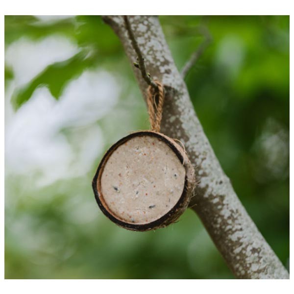 Gardman Wild Bird Care Coconut Feeder - 10 Pack 2 Gardman Wild Bird Care Coconut Feeder - 10 Pack - Image 2