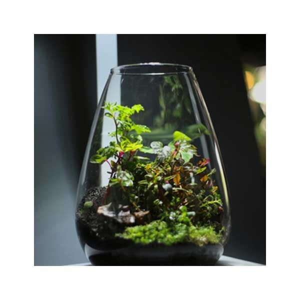 Bio Bowl with Light in Black 175mm 5 Bio Bowl with Light in Black 175mm - Image 5