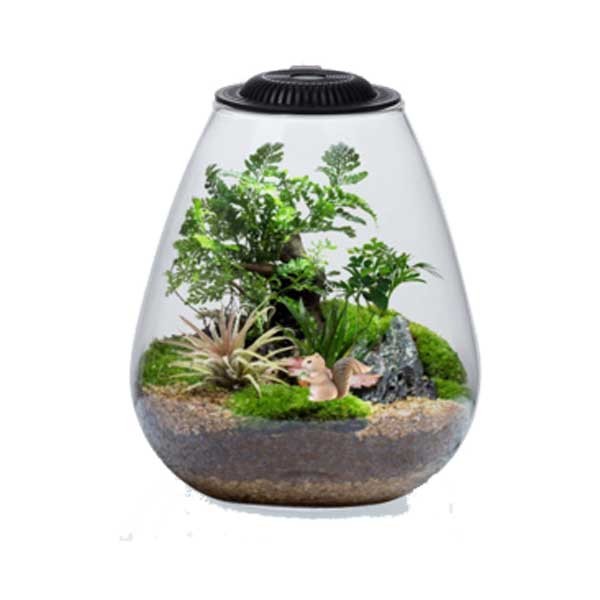 Bio Bowl with Light Black 200mm 1 Bio Bowl with Light Black 200mm