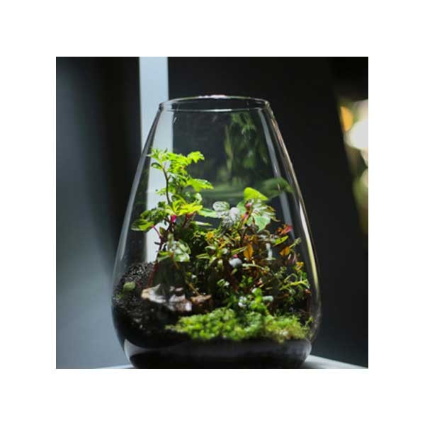 Bio Bowl with Light Black 200mm 5 Bio Bowl with Light Black 200mm - Image 5