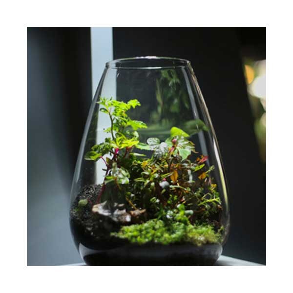 Bio Bowl with Light White 200mm 5 Bio Bowl with Light White 200mm - Image 5
