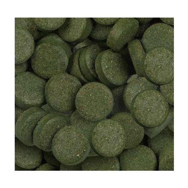 Sera Spirulina Tabs 24 Tabs (16g) 2 Sera Spirulina Tabs 24 Tabs (16g) - Image 2