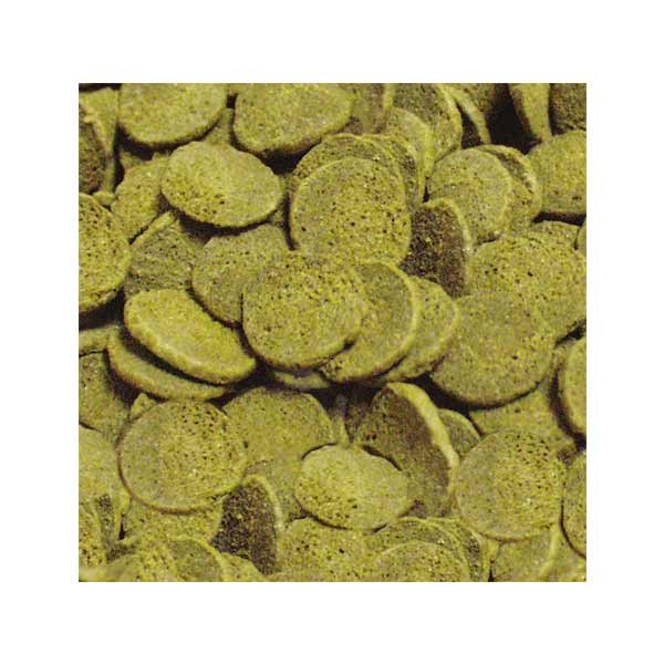 Sera Pleco Chips 250ml (92g) 2 Sera Pleco Chips 250ml (92g) - Image 2