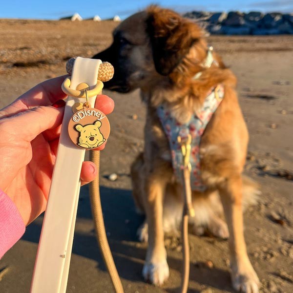 Disney© Pooh Collar/Lead Charm 3 Disney© Pooh Collar/Lead Charm - Image 3