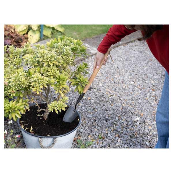 Long handle trowel 2 Long handle trowel - Image 2