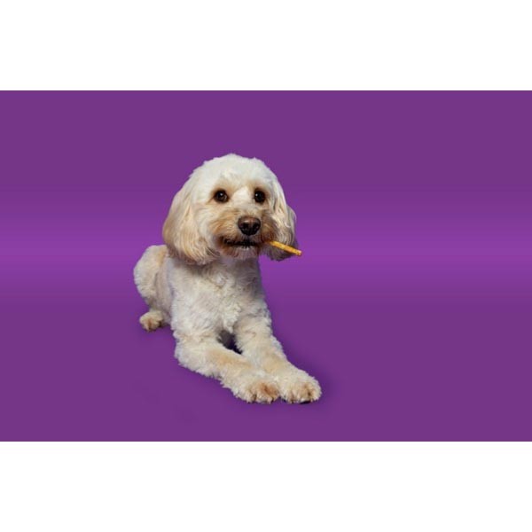 Pawtential Collagen Chicken Chew Sticks X-Small 6 Pack 2 Pawtential Collagen Chicken Chew Sticks X-Small 6 Pack - Image 2