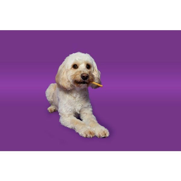 Pawtential Collagen Peanut Butter Chew Sticks X-Small 6 Pack 2 Pawtential Collagen Peanut Butter Chew Sticks X-Small 6 Pack - Image 2